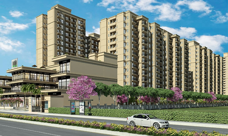 project_overview_img